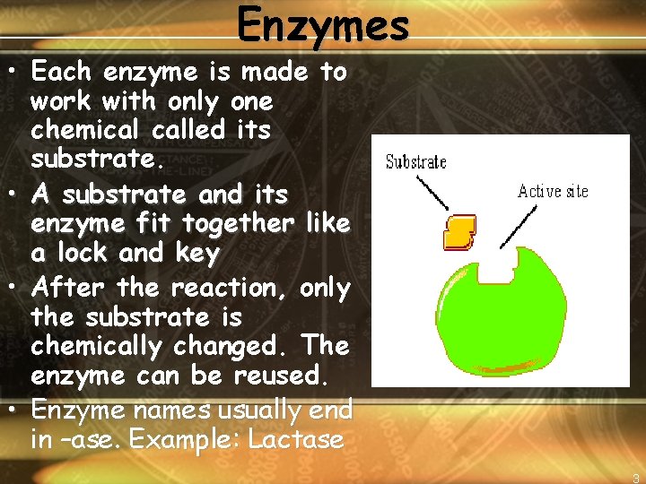 Enzymes • Each enzyme is made to work with only one chemical called its