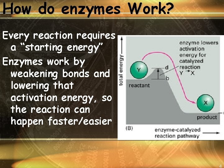 How do enzymes Work? Every reaction requires a “starting energy” Enzymes work by weakening