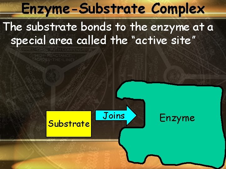 Enzyme-Substrate Complex The substrate bonds to the enzyme at a special area called the