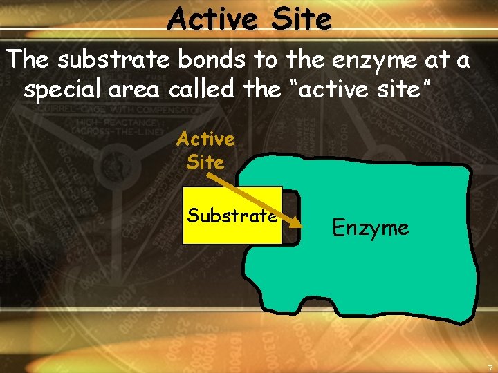 Active Site The substrate bonds to the enzyme at a special area called the