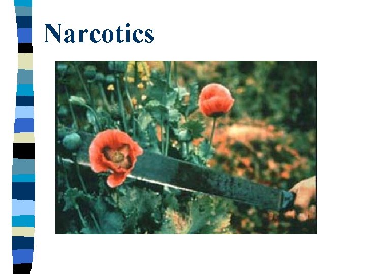 Narcotics 