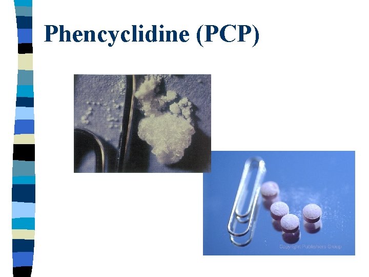 Phencyclidine (PCP) 