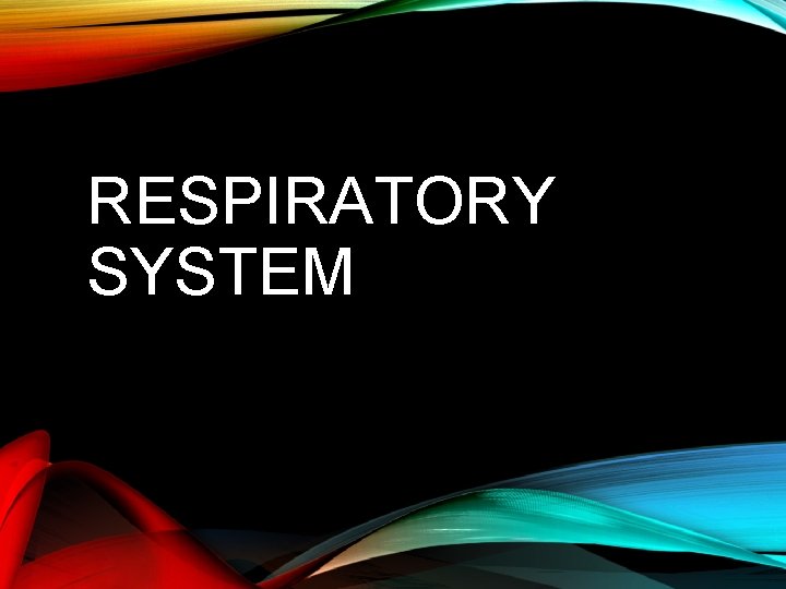 RESPIRATORY SYSTEM RESPIRATORY SYSTEM
