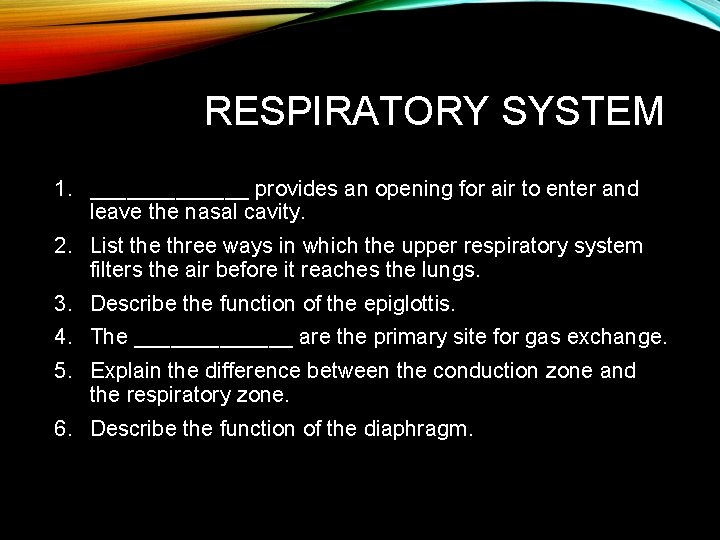 RESPIRATORY SYSTEM 1. _______ provides an opening for air to enter and leave the RESPIRATORY SYSTEM 1. _______ provides an opening for air to enter and leave the
