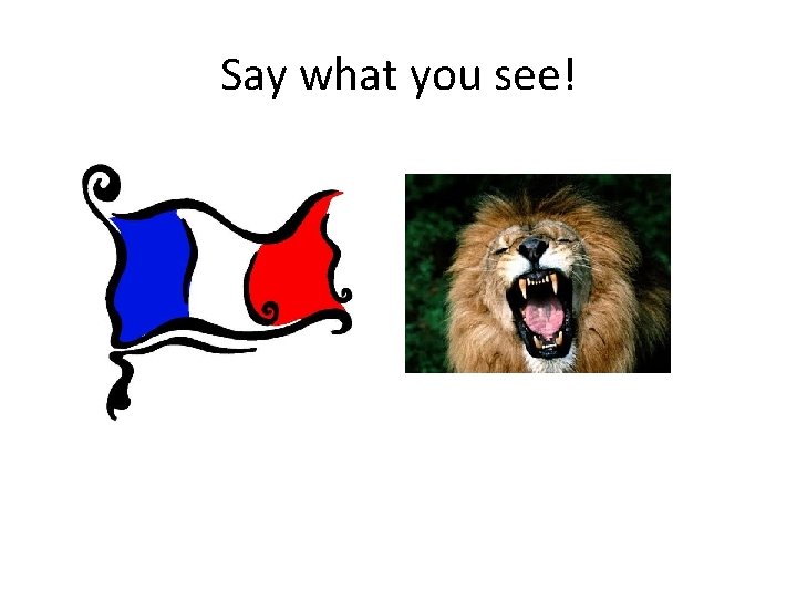 Say what you see! 