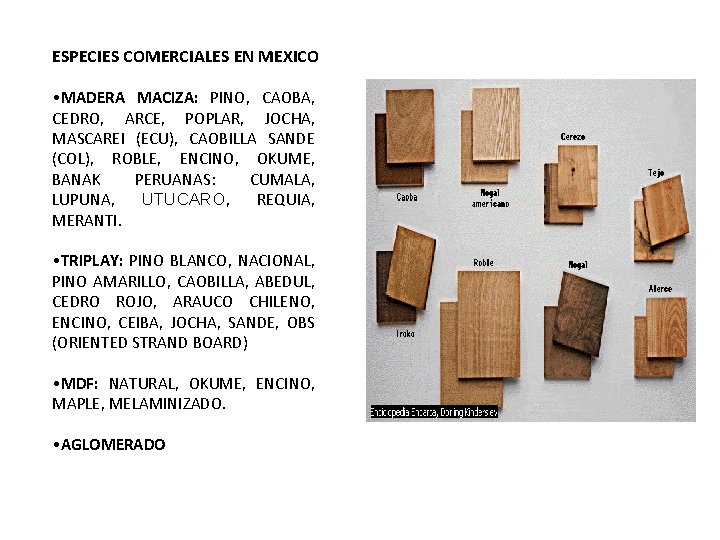 ESPECIES COMERCIALES EN MEXICO • MADERA MACIZA: PINO, CAOBA, CEDRO, ARCE, POPLAR, JOCHA, MASCAREI