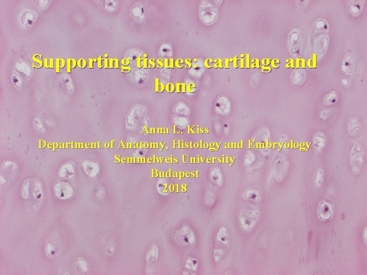 Supporting tissues: cartilage and bone Anna L. Kiss Department of Anatomy, Histology and Embryology