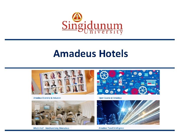 AUSTRIAN SERBIAN TOURISM PROGRAMMES Amadeus Hotels 