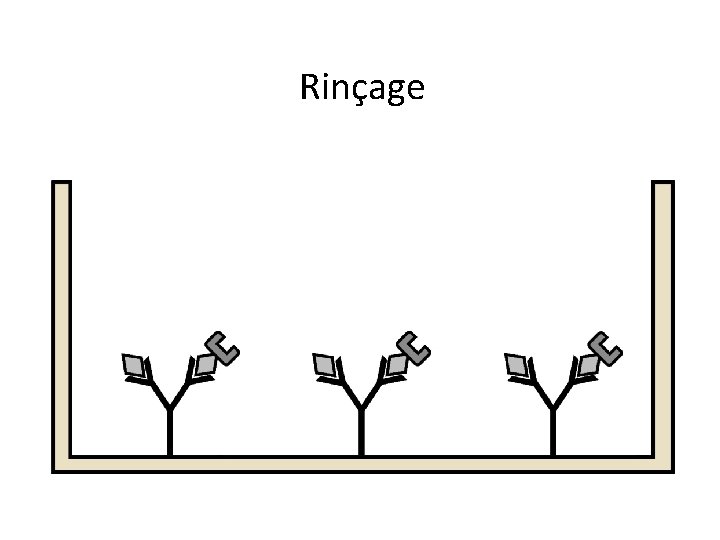 Rinçage 