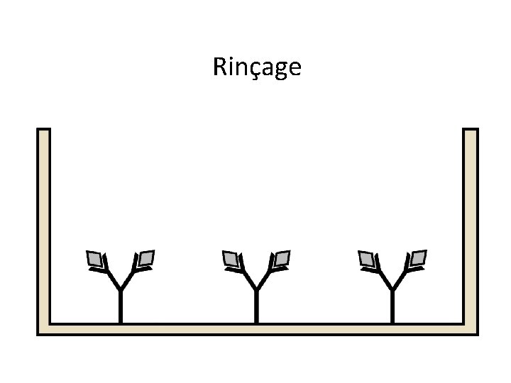 Rinçage 