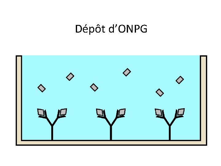 Dépôt d’ONPG 