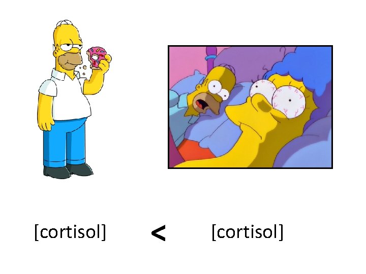 [cortisol] < [cortisol] 