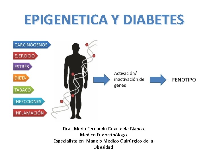 EPIGENETICA Y DIABETES Dra. María Fernanda Duarte de Blanco Medico Endocrinólogo Especialista en Manejo