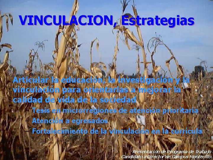 VINCULACION, Estrategias Articular la educación, la investigación y la vinculación para orientarlas a mejorar