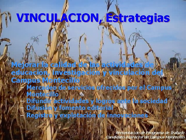 VINCULACION, Estrategias Mejorar la calidad de las actividades de educación, investigación y vinculación del