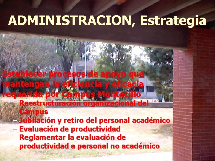 ADMINISTRACION, Estrategia Establecer procesos de apoyo que mantengan la eficiencia y eficacia requerida por