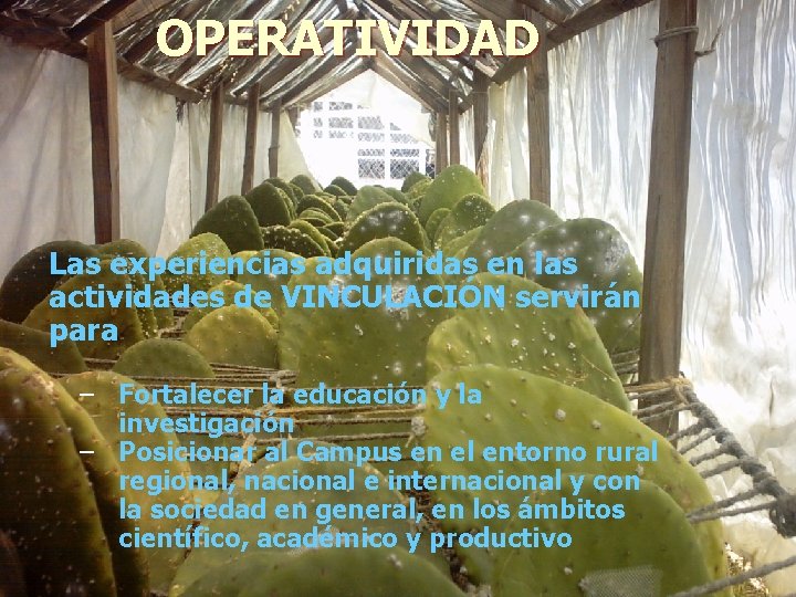 OPERATIVIDAD Las experiencias adquiridas en las actividades de VINCULACIÓN servirán para – Fortalecer la