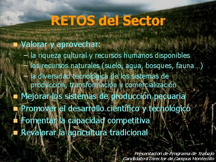 RETOS del Sector n Valorar y aprovechar: – – – n n la riqueza