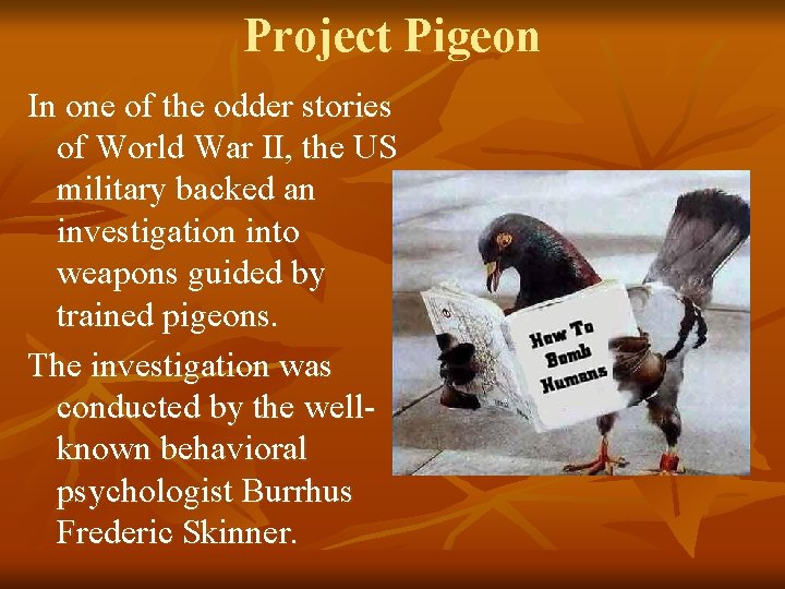 Project Pigeon In one of the odder stories of World War II, the US