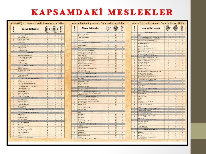 KAPSAMDAKİ MESLEKLER 