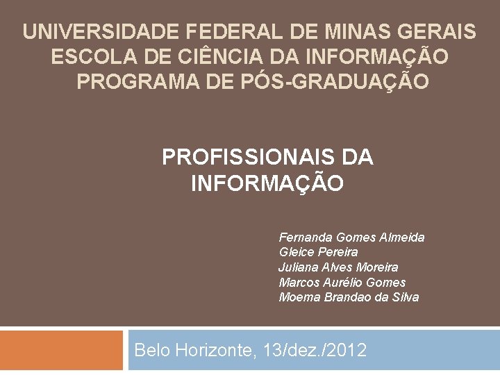 UNIVERSIDADE FEDERAL DE MINAS GERAIS ESCOLA DE CIÊNCIA DA INFORMAÇÃO PROGRAMA DE PÓS-GRADUAÇÃO PROFISSIONAIS