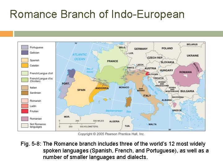 Romance Branch of Indo-European Fig. 5 -8: The Romance branch includes three of the