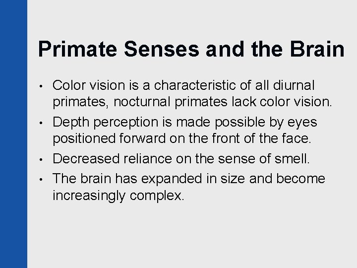 Primate Senses and the Brain • • Color vision is a characteristic of all