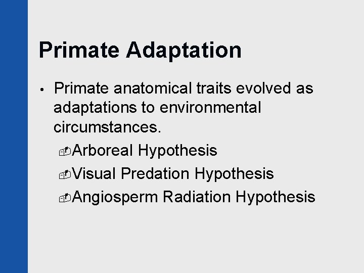 Primate Adaptation • Primate anatomical traits evolved as adaptations to environmental circumstances. -Arboreal Hypothesis