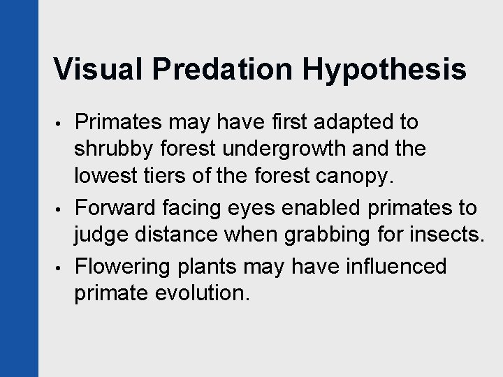 Visual Predation Hypothesis • • • Primates may have first adapted to shrubby forest