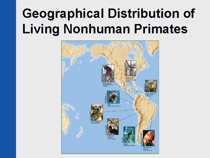 Geographical Distribution of Living Nonhuman Primates 