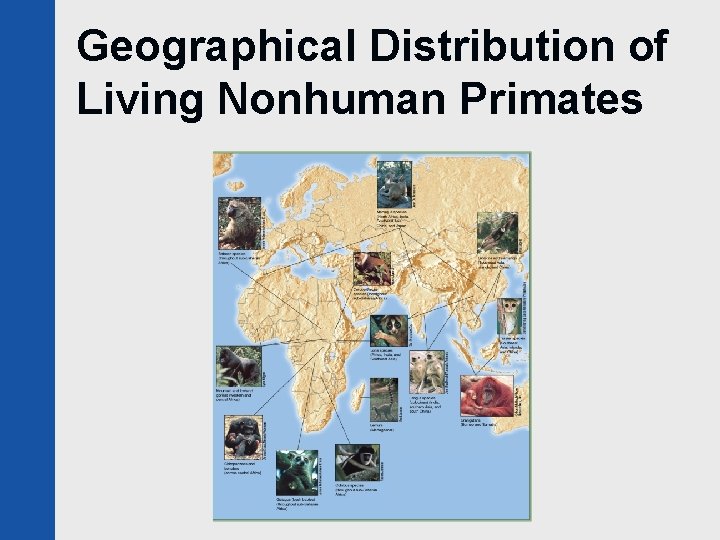 Geographical Distribution of Living Nonhuman Primates 