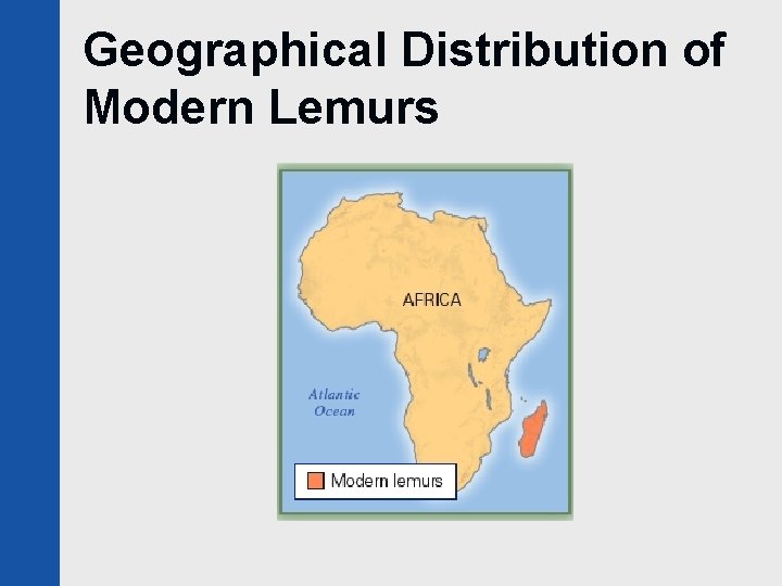 Geographical Distribution of Modern Lemurs 