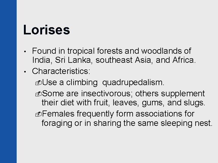 Lorises • • Found in tropical forests and woodlands of India, Sri Lanka, southeast