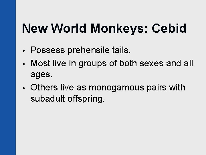 New World Monkeys: Cebid • • • Possess prehensile tails. Most live in groups