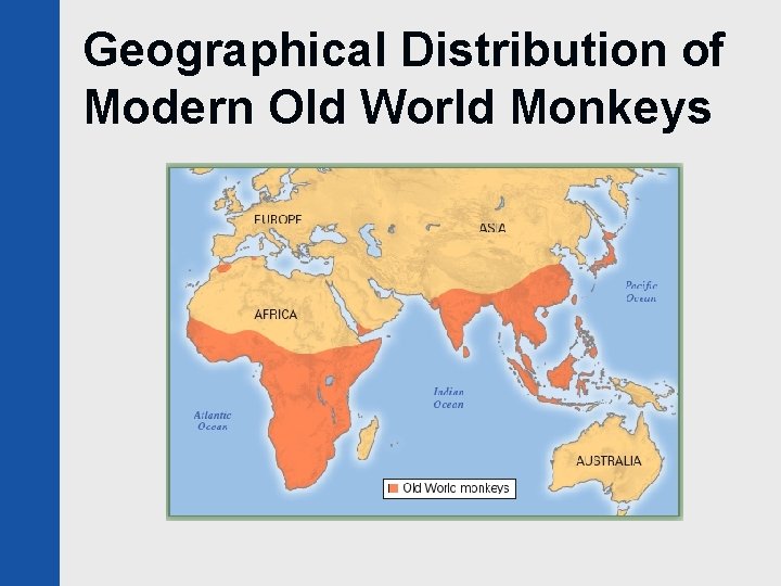 Geographical Distribution of Modern Old World Monkeys 