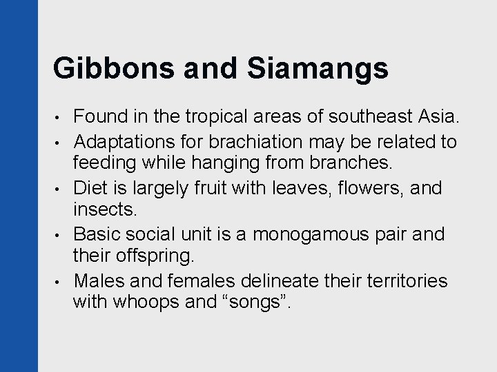 Gibbons and Siamangs • • • Found in the tropical areas of southeast Asia.