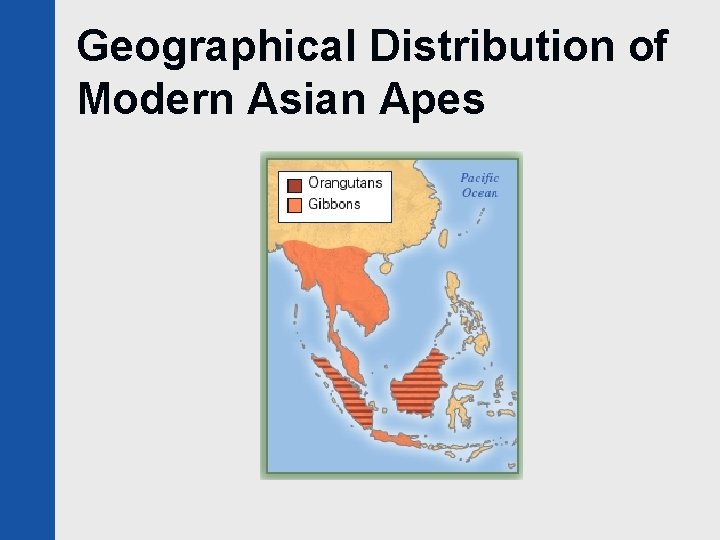 Geographical Distribution of Modern Asian Apes 