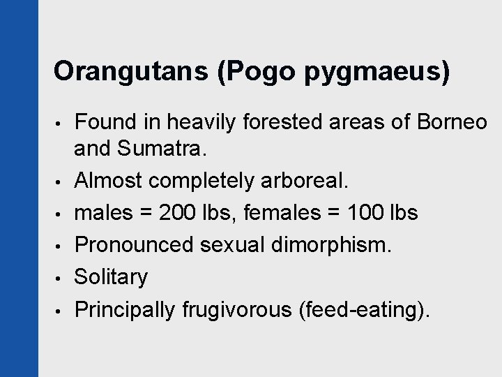 Orangutans (Pogo pygmaeus) • • • Found in heavily forested areas of Borneo and