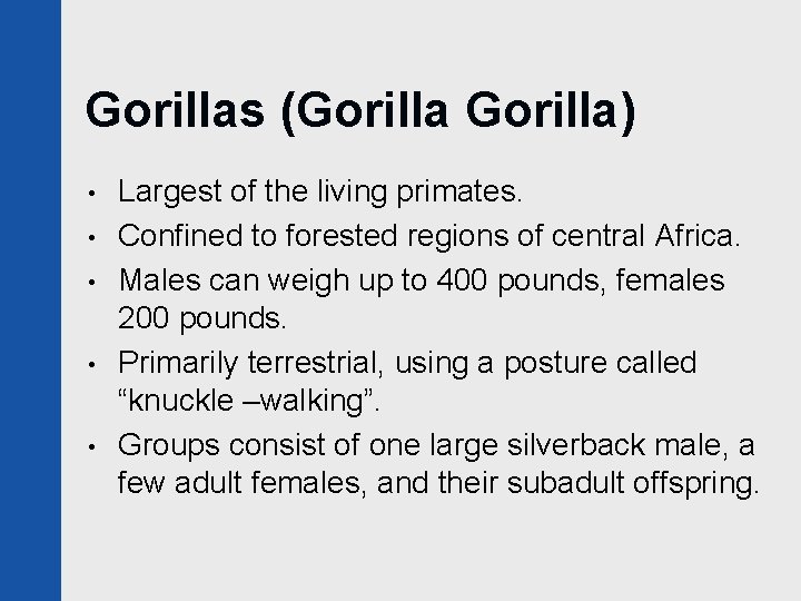 Gorillas (Gorilla) • • • Largest of the living primates. Confined to forested regions