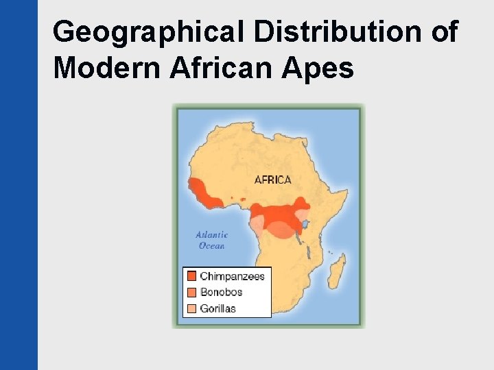 Geographical Distribution of Modern African Apes 