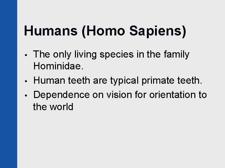 Humans (Homo Sapiens) • • • The only living species in the family Hominidae.