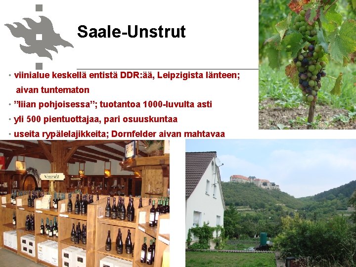 Saale-Unstrut • viinialue keskellä entistä DDR: ää, Leipzigista länteen; aivan tuntematon • ”liian pohjoisessa”;