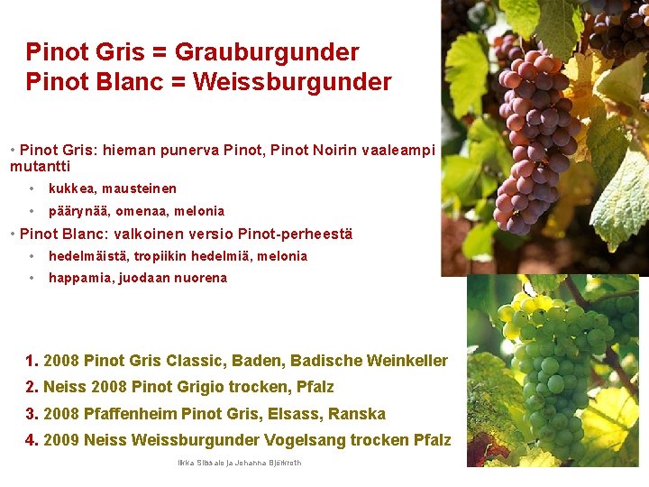 Pinot Gris = Grauburgunder Pinot Blanc = Weissburgunder • Pinot Gris: hieman punerva Pinot,