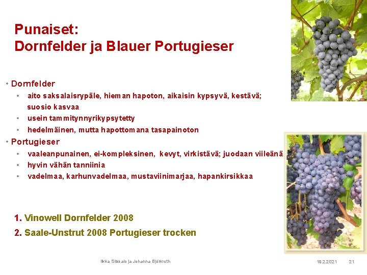 Punaiset: Dornfelder ja Blauer Portugieser • Dornfelder • • • aito saksalaisrypäle, hieman hapoton,