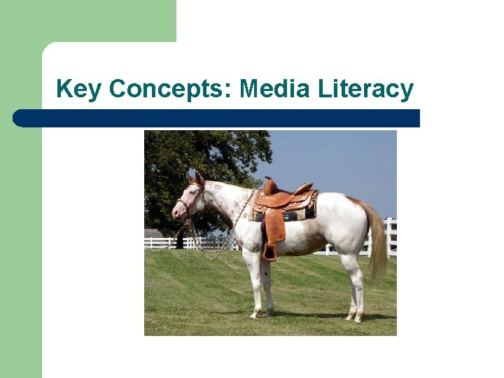 Key Concepts: Media Literacy 