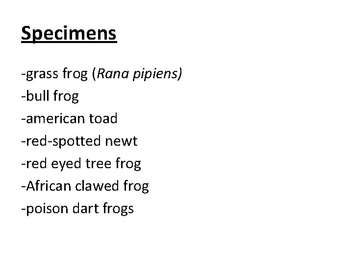 Specimens -grass frog (Rana pipiens) -bull frog -american toad -red-spotted newt -red eyed tree
