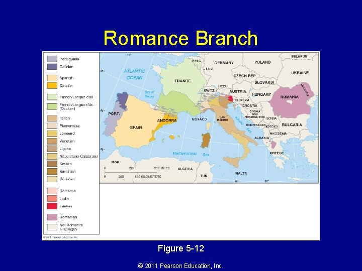 Romance Branch Figure 5 -12 © 2011 Pearson Education, Inc. 