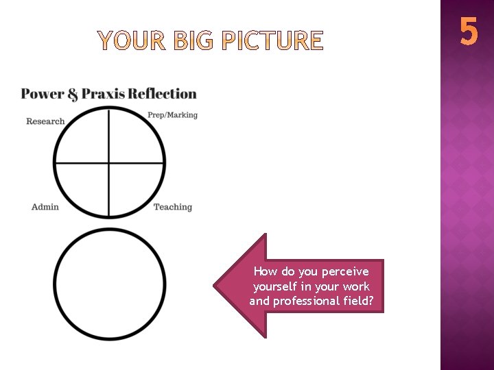 5 How do you perceive yourself in your work and professional field? 
