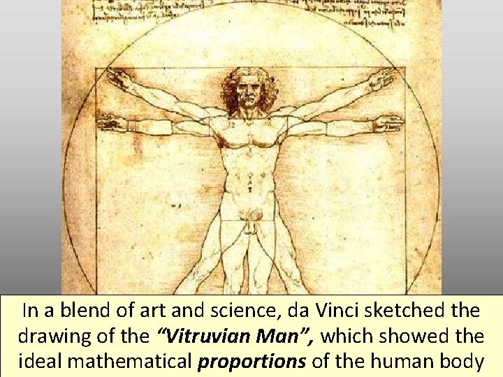 In a blend of art and science, da Vinci sketched the drawing of the