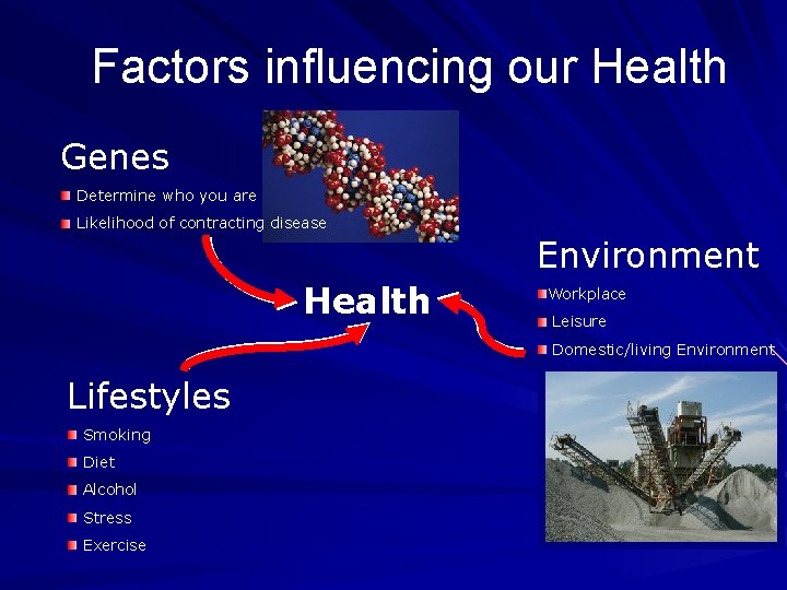 Factors influencing our Health Genes Determine who you are Likelihood of contracting disease Environment Factors influencing our Health Genes Determine who you are Likelihood of contracting disease Environment